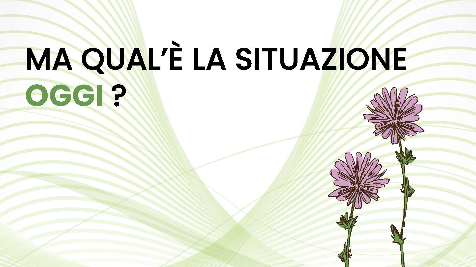 SPL_GENERAZIONE VERDE 2_Pagina_10